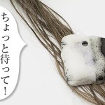 ヘアカラーは薄毛の原因？