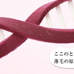 ここが薄毛の原因？