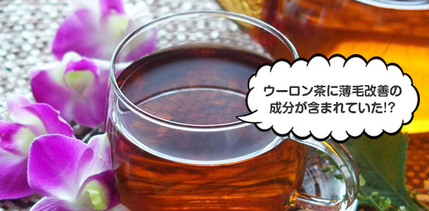 ウーロン茶に薄毛改善の 成分が含まれていた!?