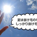 夏は抜け毛の季節？しっかり抜け毛対策！